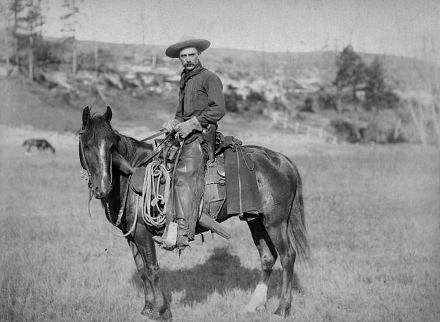 Cowboy in Kansas 1888