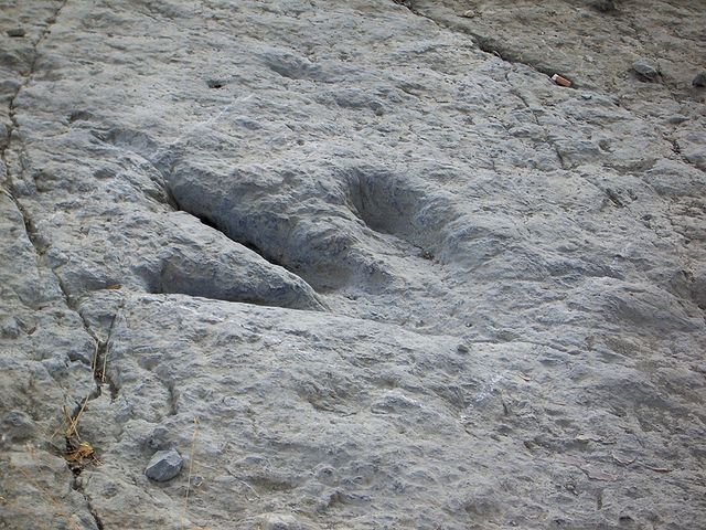 A dinosaur footprint at Moab, Utah