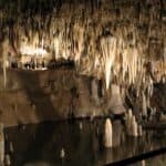 The Jungle Room in Meramec Caverns.