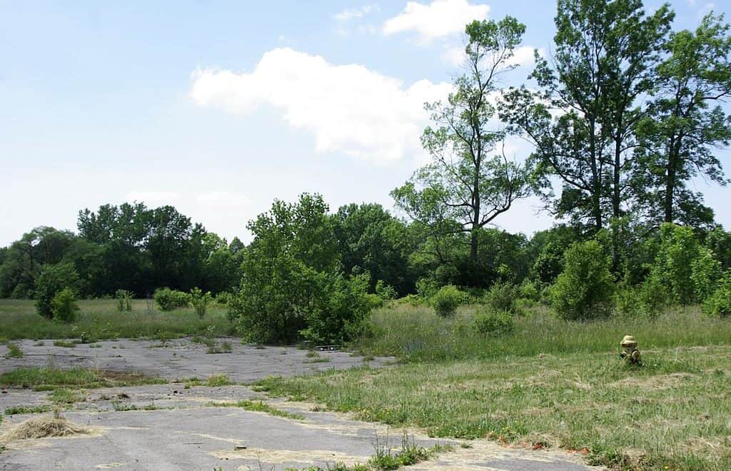 Dumped On: The Messy Truth About Love Canal