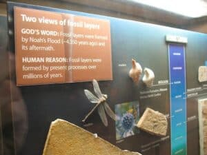 Fossil display at The Creation Museum
