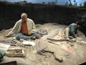 Diorama of paleontologists on a dig at The Creation Museum in Petersburg, KY