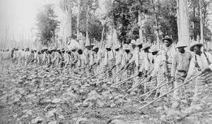 The convict leasing system
