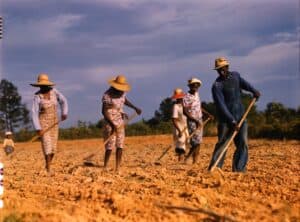 Sharecroppers