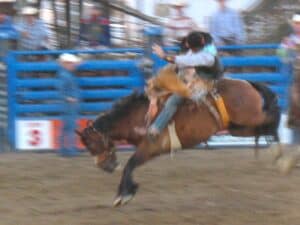 Bucking bronco at the rodeo in Cody, Wyoming