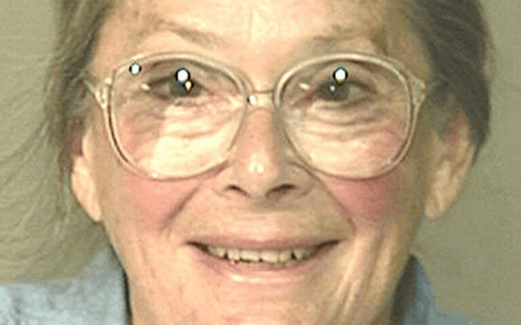 The Murders at Glensheen Mansion My American Odyssey